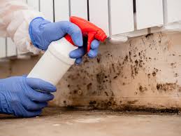 Best HVAC Mold Inspection and Cleaning in Arcola, IL